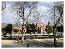 DSCN0413.JPG